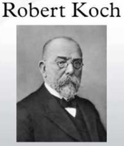 robert-koch